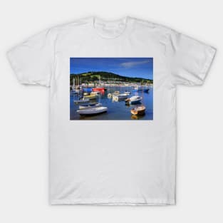 River Teign and Shaldon T-Shirt